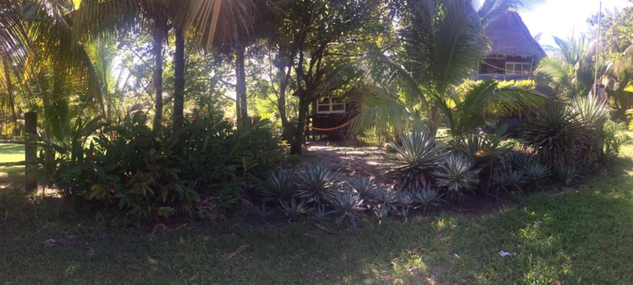 Cabana Rio Lagarto Villa Livingston Exterior photo